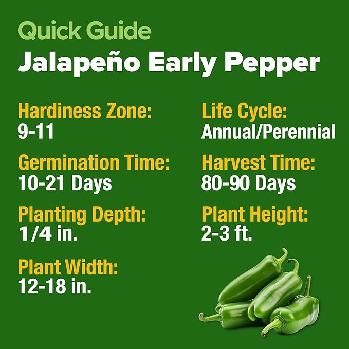 HOME GROWN Jalapeno Pepper Seeds 129+ Heirloom Non-GMO Seeds - Image 5