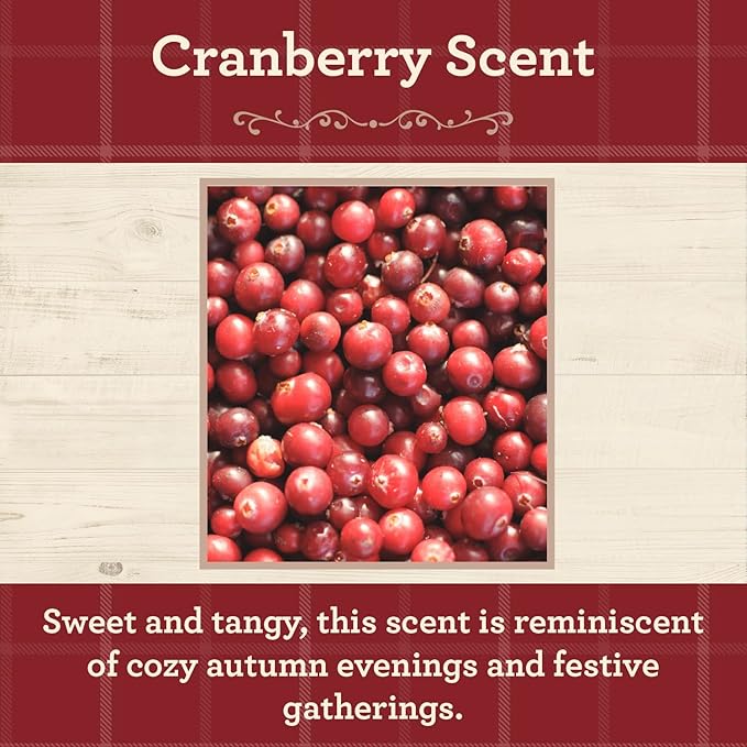 Our Own Candle Company, Cranberry Scented Mason Jar Candle, 100 Hour Burn Time - Image 2