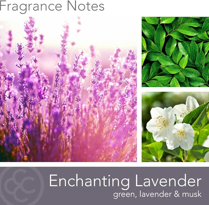 Carolina Enchanting Lavender Scented Candle, 16 oz Wellness Relaxing - Image 2