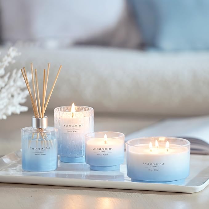 Chesapeake Bay, 14.5oz Serene Waters Scented Candle, Mood Evoking Fragrance - Image 8