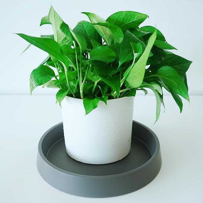 1 Pack Plant Saucer Tray for Ceramic Plastic Pots, 6 inch Plant Saucers for - Image 5