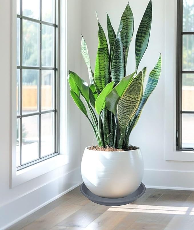 4 Pack of 16 inch Plant Saucer, Large Plant Tray, Heavy Sturdy Plant Drainage - Image 4