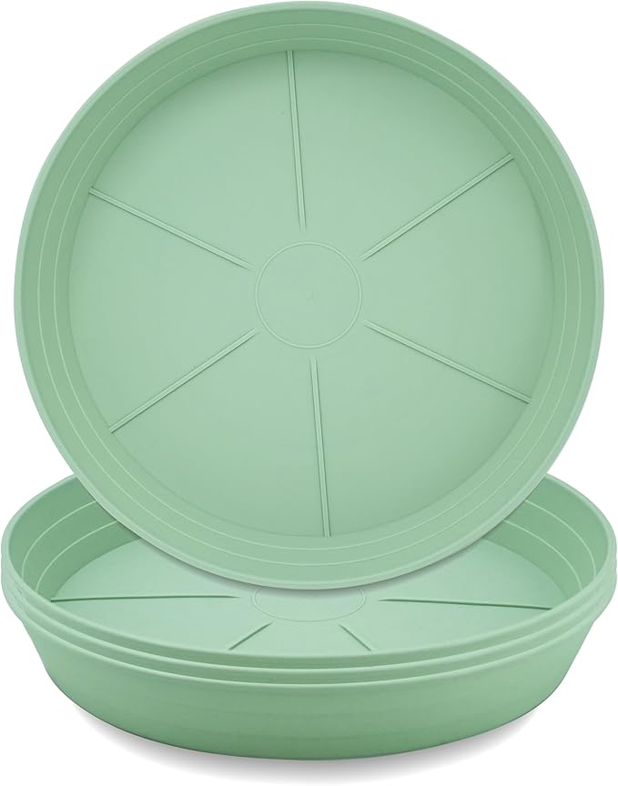 LWALRS Plant Saucer 6 Inch 4 Pack 6 8 10 12 14 16 18 20 25, Plastic Plant Trays by LWALRS