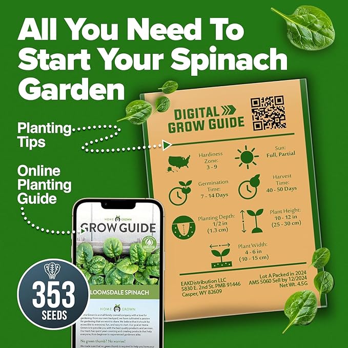 HOME GROWN Bloomsdale Spinach Seeds 353+ Non GMO Heirloom Seeds - Image 7