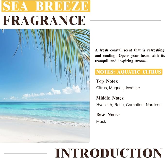 EUQEE Sea Breeze Fragrance Oil, Premium Essential Oil Scented Oil - Image 3