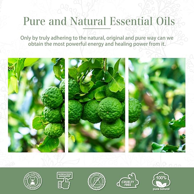 Bergamot Essential Oil 1.01fl.oz/30ml, PHATOIL Bergamot Oils Long Lasting Scents - Image 6