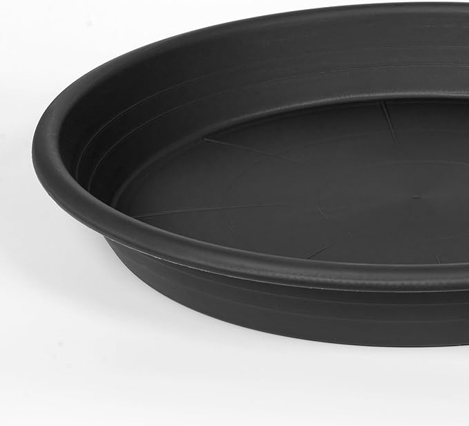 6 Pack Plant Saucer 10 inch, Heavy Duty Plastic Plant Saucers 10 inch, Durable - Image 8