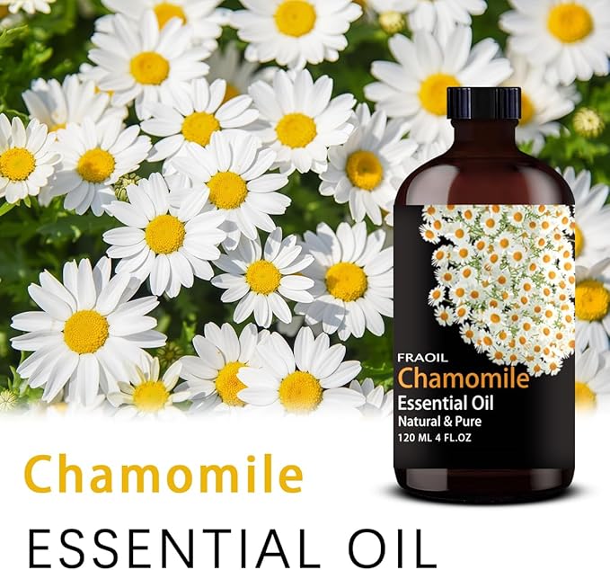 Chamomile Essential Oil, Chamomile Oil 4 Fl Oz 120ML - Image 2