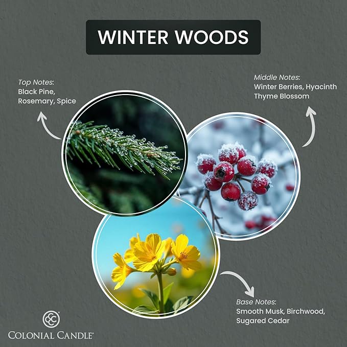 Colonial Candle Winter Woods Scented Candle Jar, Highly Fragranced Candles - Image 2