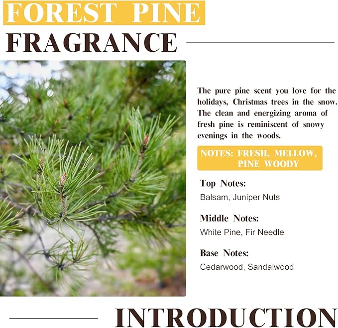 EUQEE Forest Pine Fragrance Oil Premium Fragrance Essential Oil 2.02 Fl oz - Image 3