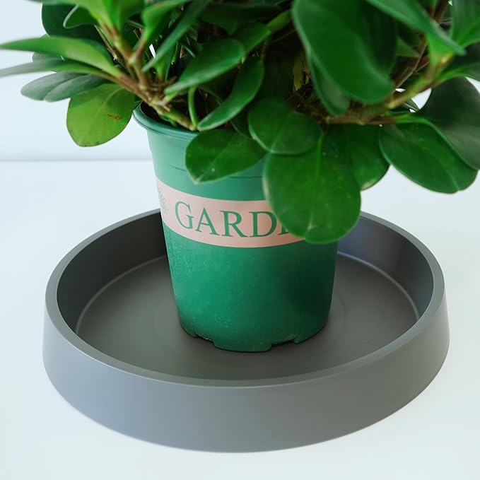 Plant Saucer Tray for Ceramic Plastic Pots, 12 inch Plant Saucers for Indoors - Image 4
