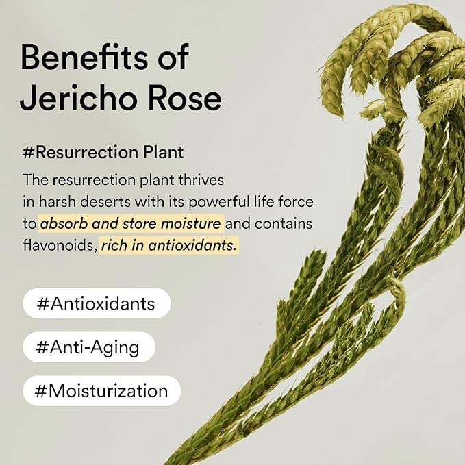 Abib Collagen Eye Cream Jericho Rose Tube - Image 6