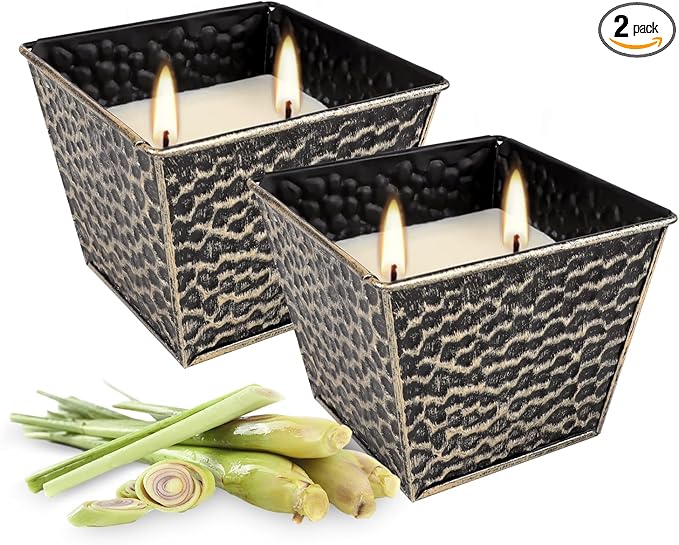 2Pcs Citronella Candles Outdoor Indoor-Large 12oz Scented 50H Long Lasting by TLNFHRPI