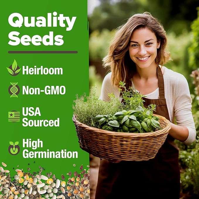 HOME GROWN 6 Herb Seeds for Planting 2, 650+ Non-GMO Heirloom Seeds | Extra - Image 2