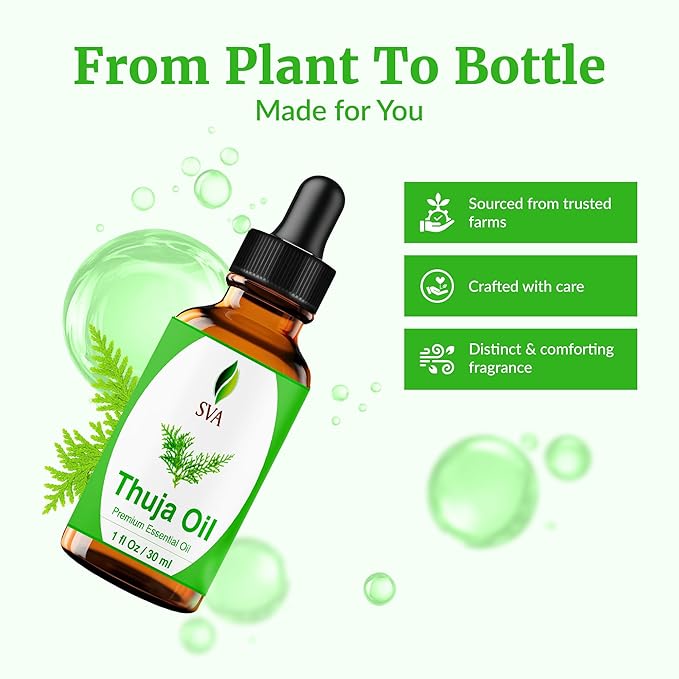 SVA Thuja Essential Oil – 1 Fl Oz – 100% Natural Thuja Oil - Image 4
