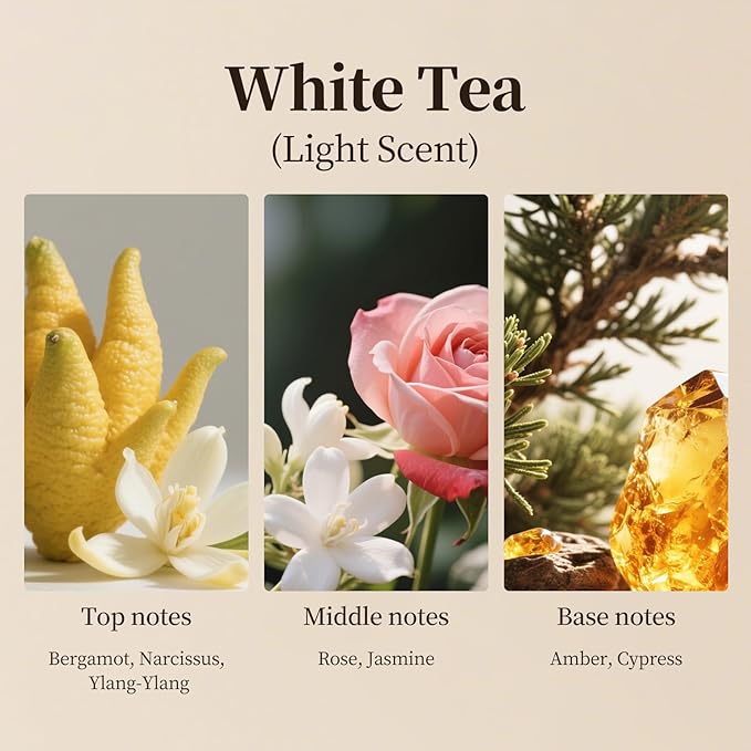 White Tea Waterless Diffuser Oil, Hotel Inspired Luxury Scent, Long Lasting - Image 5