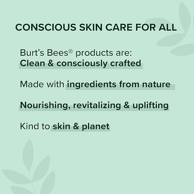 Burt's Bees Shea and Aloe Moisturizing Lip Balm, Lip Moisturizer - Image 11