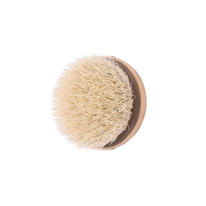 EcoTools Dry Body Brush, For Post Shower & Bath Skincare Routine, Removes Dirt - Image 4