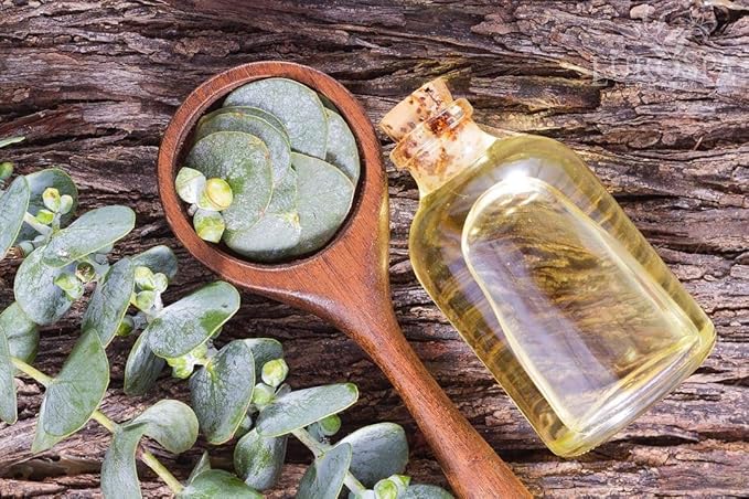 EuroSpa Aromatics Pure Eucalyptus Oil ShowerMist and Steam Room Spray, - Image 3