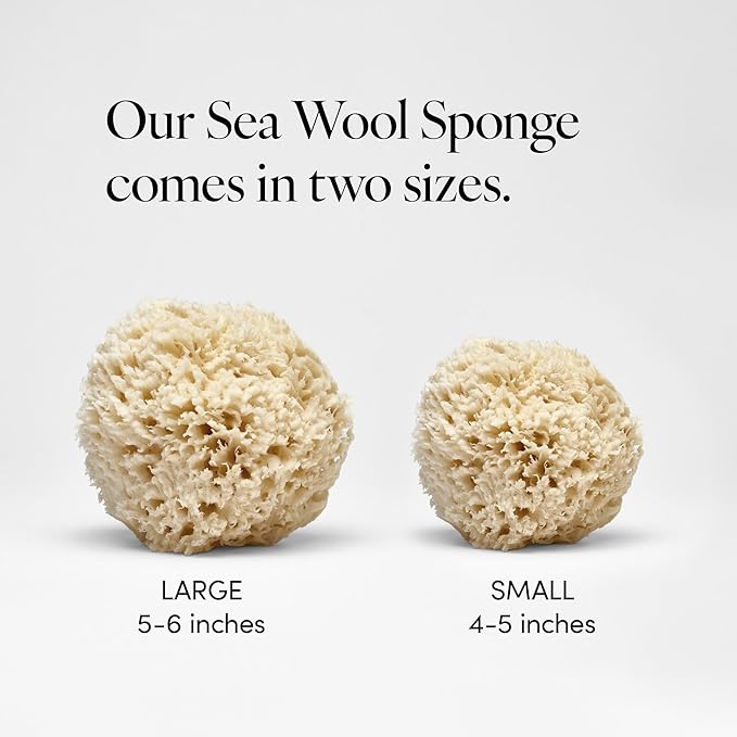 LATHER - Natural Sea Wool Sponge, 5-6" - Organic Exfoliating Body Scrubber - - Image 3