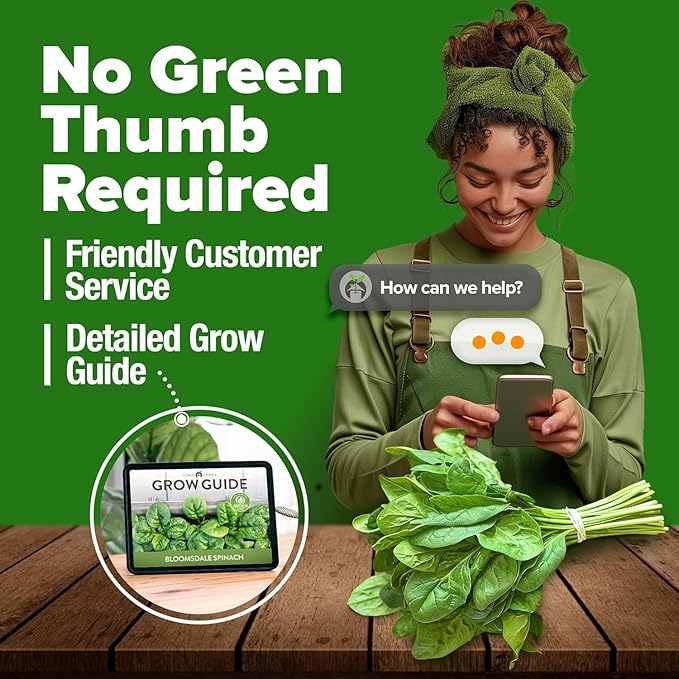 HOME GROWN Bloomsdale Spinach Seeds 353+ Non GMO Heirloom Seeds - Image 8