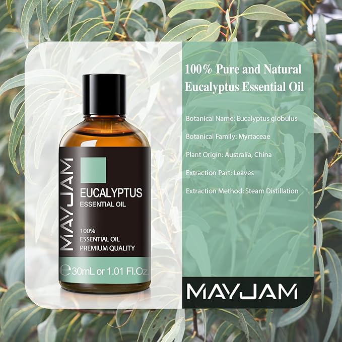 Eucalyptus Essential Oil, MAYJAM 30ML/1.01FL.OZ Pure Eucalyptus Oils - Image 3
