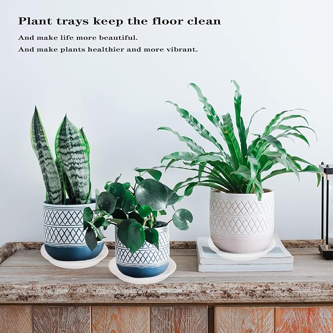 Plant Saucer - 2 Pack 22 Inch Extra Large Durable Plastic Plant Trays Clear - Image 7