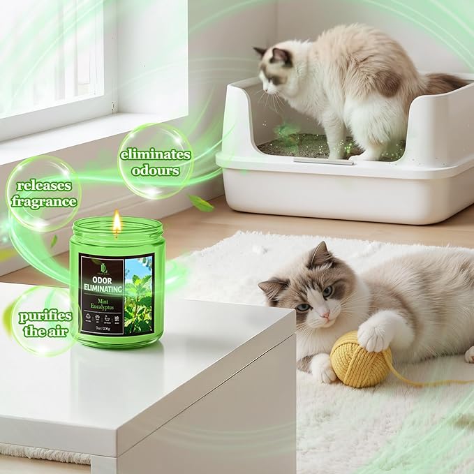 Mint Eucalyptus Odor Eliminating Highly Fragranced Candle, Eliminates 95% of - Image 2