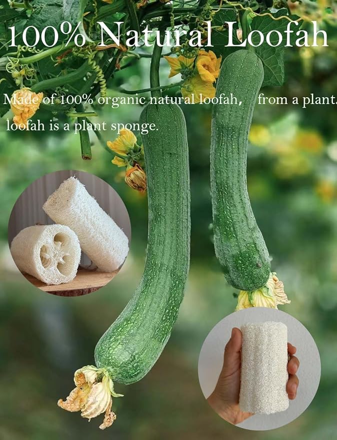 100% Natural Loofah Exfoliating Body and Face Sponge Scrubber - Image 5