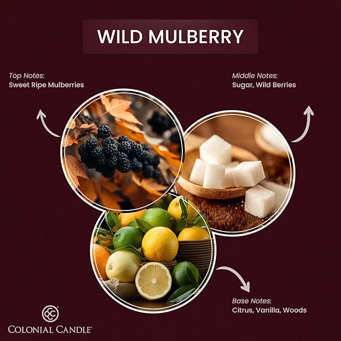Colonial Candle Wild Mulberry Scented Candle Jar, Highly Fragranced Candles - Image 2