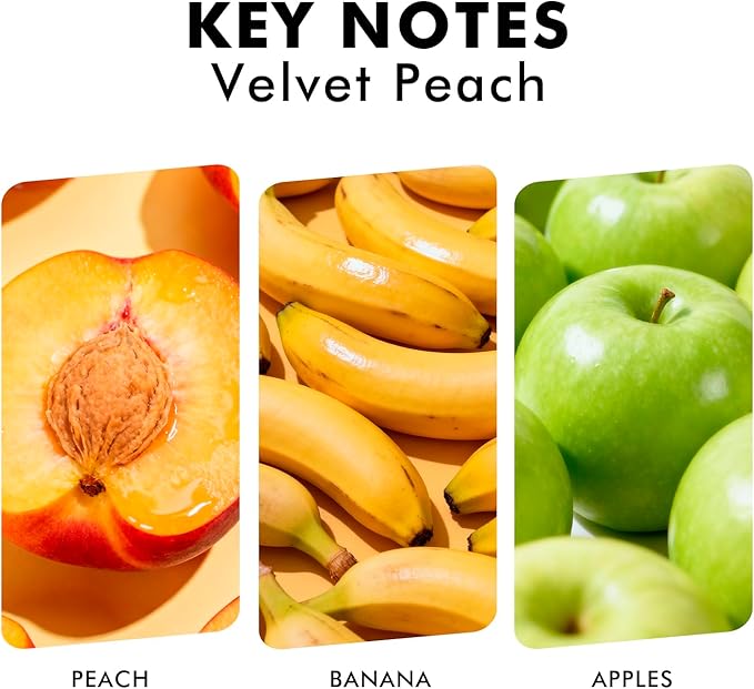Xcleen Reed Diffuser Set, Velvet Peach Scent Fragrance Oil Diffuser, Reed - Image 2