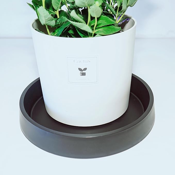Plant Saucer Tray for Ceramic Plastic Pots, 8 inch Plant Saucers for Indoors - Image 4
