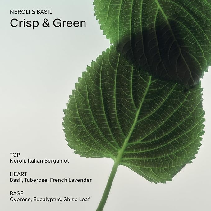 Salt & Stone Body Lotion for Women & Men | Neroli & Basil | Hydrates, Nourishes - Image 3