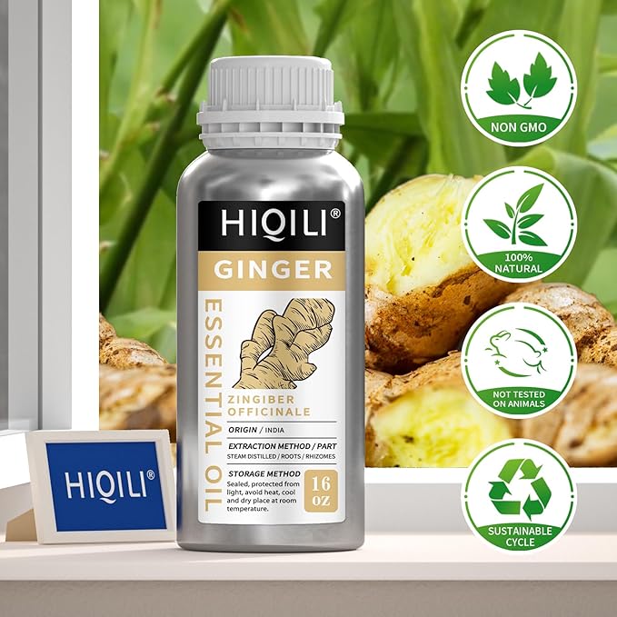 HIQILI 16 Fl Oz Ginger Oil, 100% Pure Natural Ginger Essential Oil - Image 5