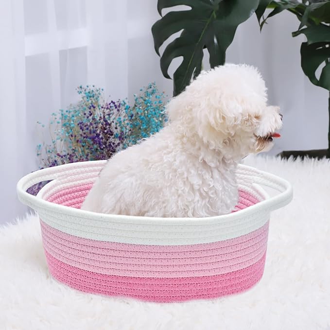 ABenkle Small Basket with Handles - Image 4