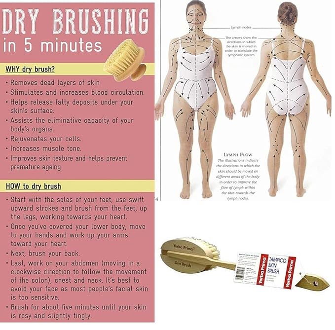 Yerba Prima Tampico Skin Brush for Exfoliation, Dry Brushing, and Blood - Image 6