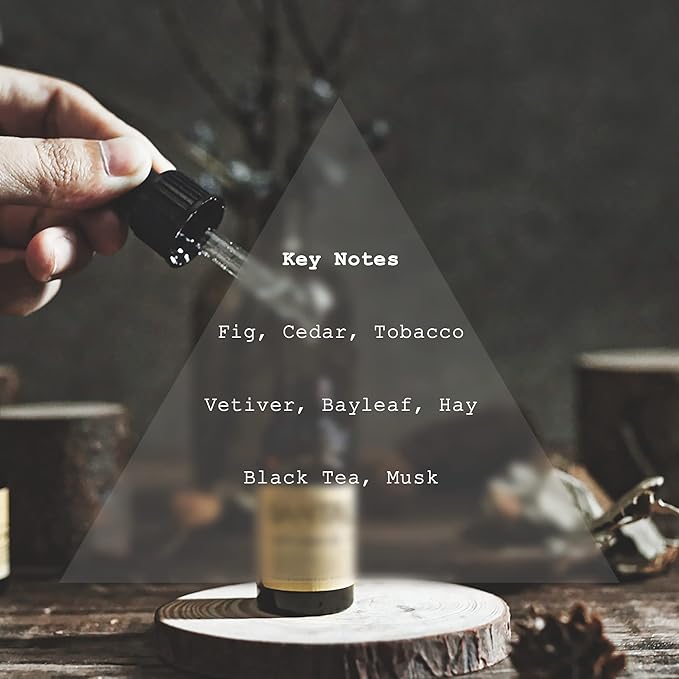 Noir Diffuser Oil, Niche Scent, Luxury Fig, Bay Leaf - Image 2