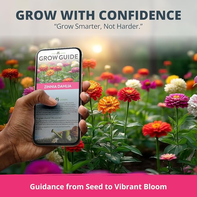HOME GROWN Zinnia Dahlia Seeds Pack - Image 8