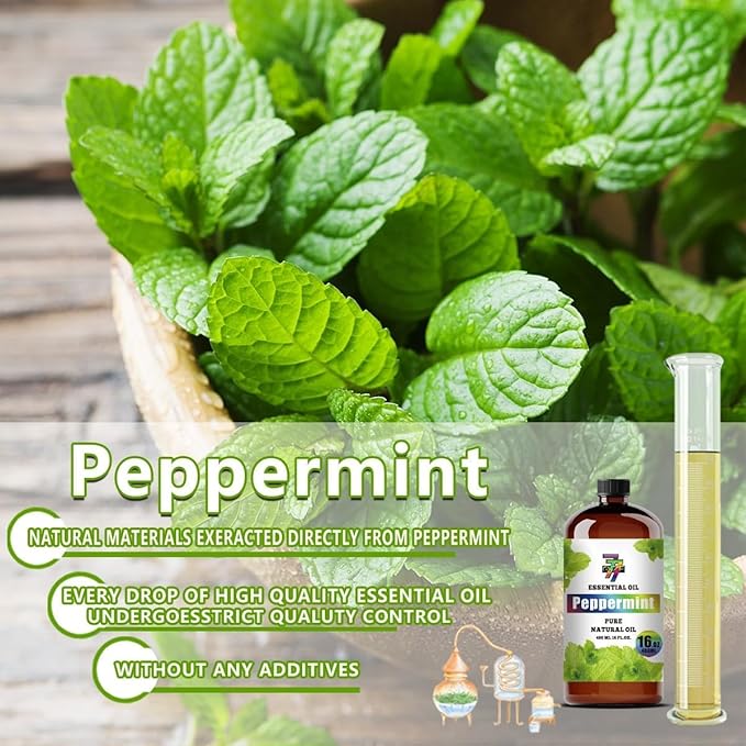 Peppermint Essential Oil - Image 6