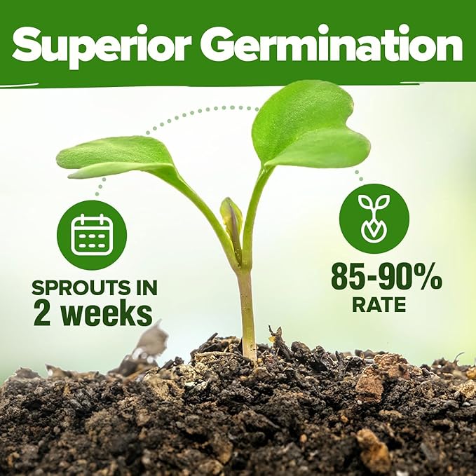 HOME GROWN 25 Herb Seeds for Planting 8, 700+ Non-GMO Heirloom Seeds | Extra - Image 5