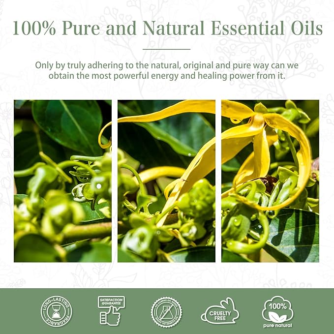 Ylang Ylang Essential Oil 1.01fl.oz/30ml, PHATOIL Premium Ylang Ylang Oils Long - Image 7