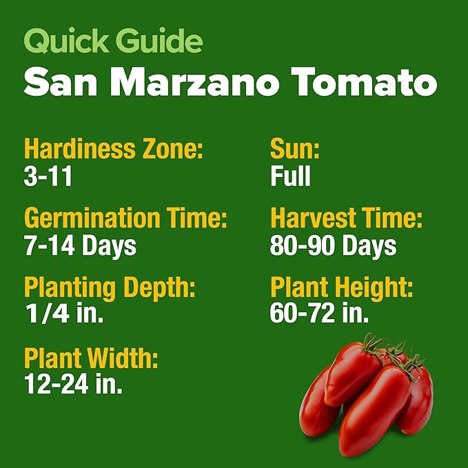 HOME GROWN San Marzano Tomato Seeds 132+ Heirloom Non-GMO Seeds - Image 5