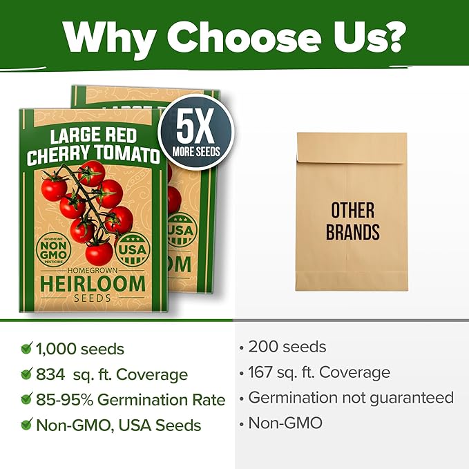 HOME GROWN Large Red Cherry Tomato Seeds 1000+ Heirloom Non-GMO Seeds - Image 7