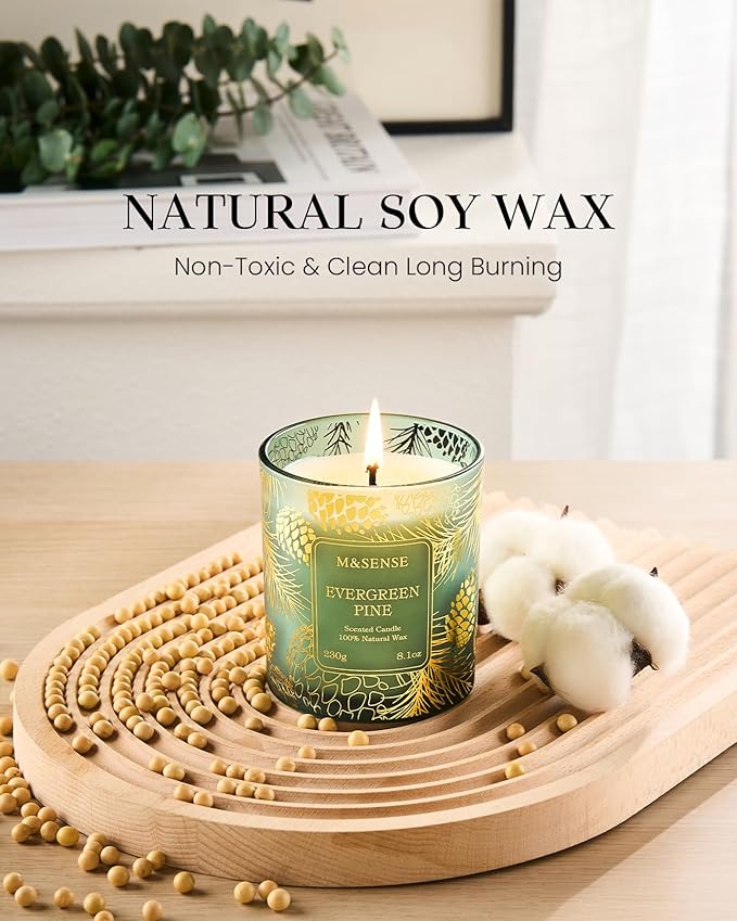 M&SENSE Evergreen Pine Vegan Soy Candles, 8.1oz 42-Hour Slow Burning Non Toxic - Image 3