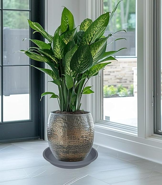 2 Pack of 19 inch Plant Saucer, Large Plant Tray, Heavy Sturdy Plant Drainage - Image 3