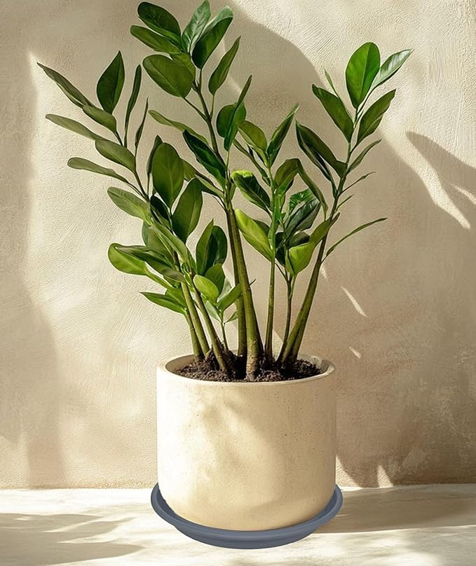 4 Pack of 16 inch Plant Saucer, Large Plant Tray, Heavy Sturdy Plant Drainage - Image 5