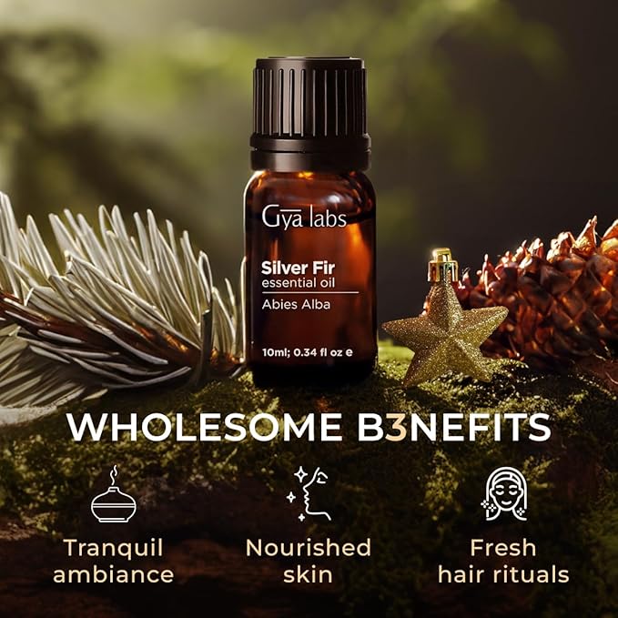 100% Pure Silver Fir Essential Oil - Image 5