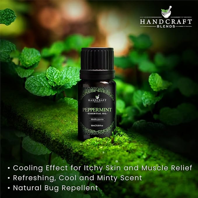 Handcraft Blends Peppermint Essential Oil – 0.33 Fl Oz – 100% Pure and Natural - Image 4