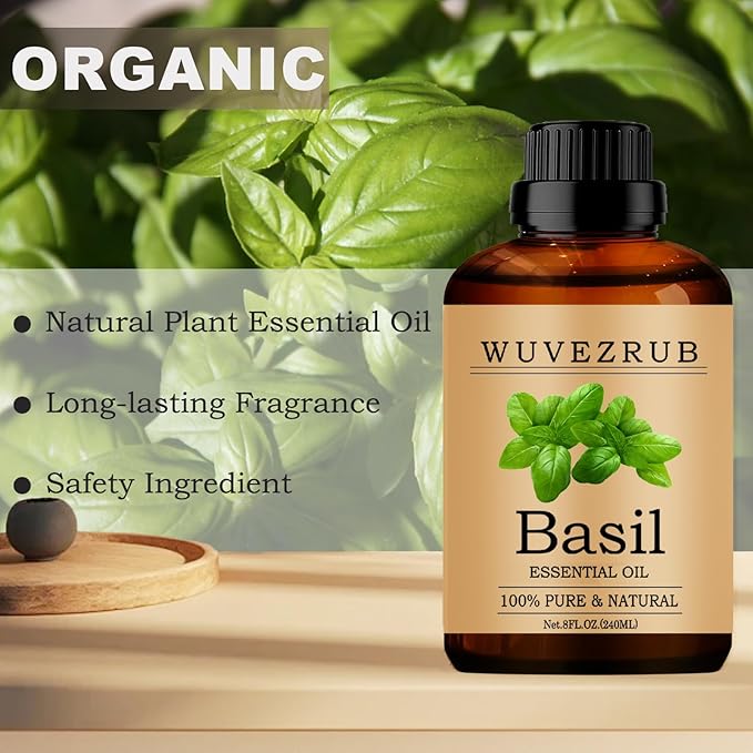 Basil Essential Oil, 240ML Pure and Natural - Image 4