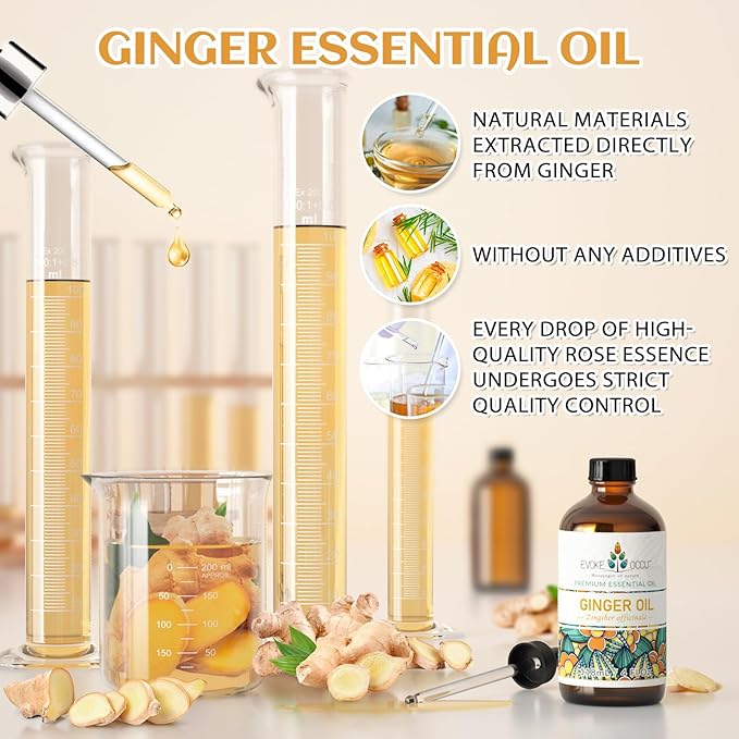 EVOKE OCCU Ginger Oil for Mental Clarity, Relieve Soreness, Hair Nourishment - Image 6